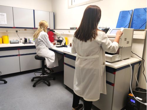 Τμήμα Κεντρικών Εργαστηρίων